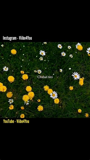 Ranjhe ki heer tu ❤‍🩹 | Aesthetic Lyrics Video #shorts #song #lyrics #trending #music #viral #love