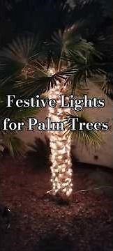Lights for Palm Trees