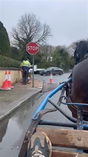 28K views · 368 reactions | Hackney stallion I broke from the North | Lee Griffin Horse training | Facebook