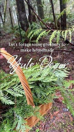 Foraging Greenery for Homemade Yule Decor