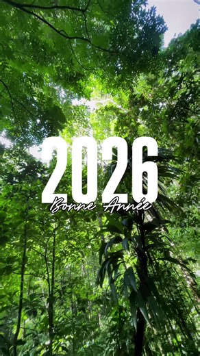 2026 est là, et on ne va pas s'arrêter de faire briller la Martinique ! 🌴✨ Bonne Année la famille ! 🥂 L’année 2025 a été une aventure incroyable à vos côtés. Que ce soit pour découvrir une plage, mettre en avant un artisan de talent , vous avez été au rendez-vous. 🙏 Je voulais vous dire un immense MERCI. Chaque like, chaque partage et chaque message compte. C’est grâce à votre force que l’on peut montrer au monde entier la richesse de notre île. En 2026, on monte encore le niveau : plus de pé