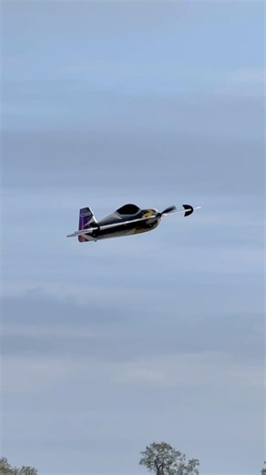 RC stunt plane ( I will probably go planespotting soon sorry :) )