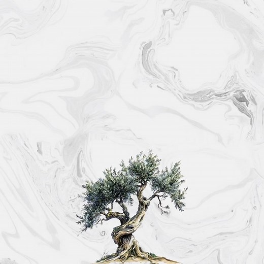 13K views · 851 reactions | Beautiful Quran Recitation | Surah Saba ❤️ | Quran Worldwide | Facebook