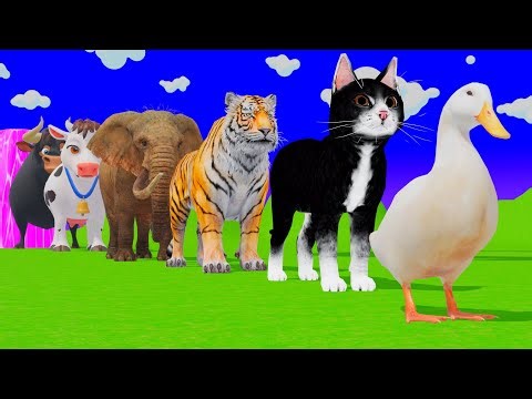 Long Slide Game with Tigers Lion Cow Hippopotamus Gorilla 3d Animal Game Funny 3d Animals