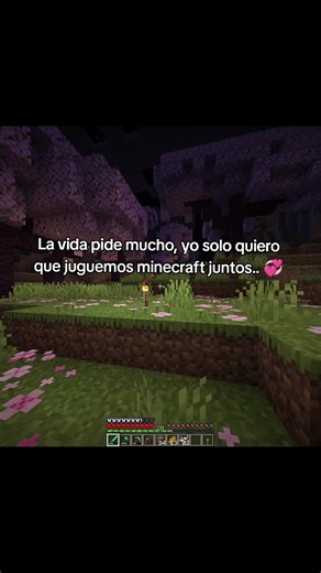 #minecraft #minecraftmemes #minecraftfunny #love #identificarse