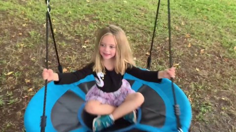 Amazon.com: Trekassy 700lb 40 Inch Saucer Tree Swing for Kids Adults Outdoor 900D Oxford Waterproof with 2pcs Tree Hanging Straps, Steel Frame and Adjustable Ropes Blue : Toys & Games