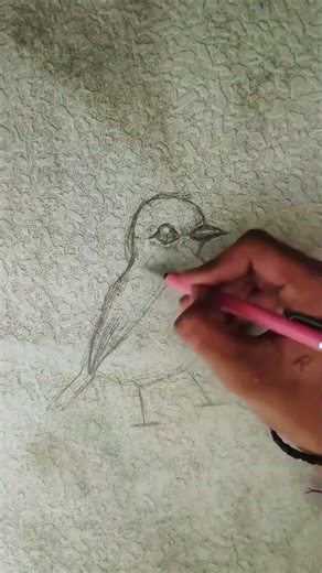 How to draw easy Bird drawing❓ #table art #sketch #drawing