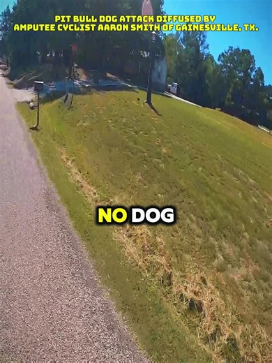 Pitbull Attack & Pepper Spray Defense