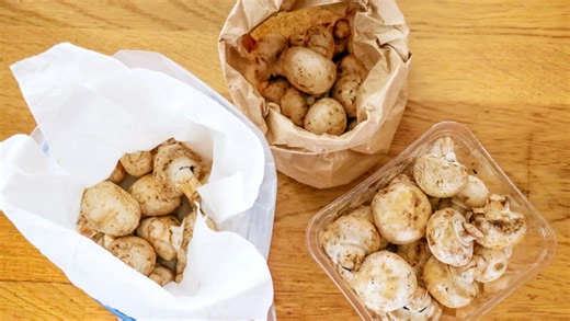 The Best Way to Store Mushrooms