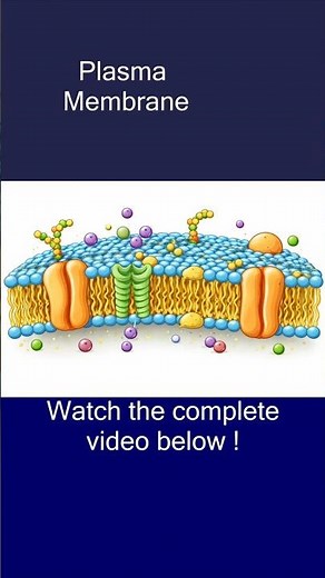 Plasma Membrane Structure and Function | Fluid Mosaic Model #neet #science #biology #education