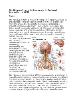 Nervous System & STEM - No Prep - Worksheet - 100% Editable