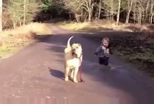 549K views · 7.1K shares | What This Little Kid Does Is SO CUTE!! | Cutest Paw | Facebook