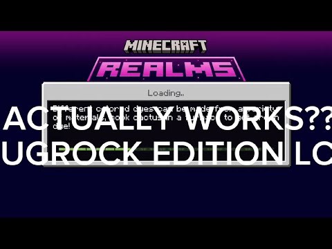 The epic survival smp realm expired...... SO I GOT IN ANYWAY