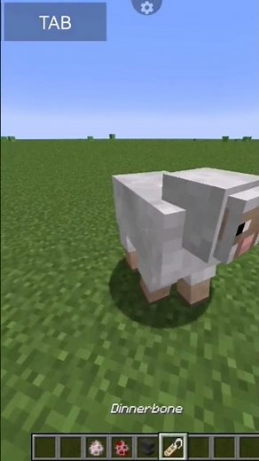 Minecraft dinnerbone name tag