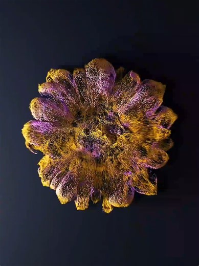 CopyCat Money Machine is your plug-and-play shortcut to selling done-for-you AI digital products without starting from scratch. It gives you ready-made ebooks, videos, prompts, and digital assets you can rebrand, edit, and resell as your own, so you can start building passive income streams faster and with less tech stress. Just download, customize a little, upload to your favorite platforms, and let the system work for you. Check it out here: https://copycatmoney.com : #copycatmoneymachine #cop