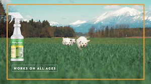 Teaches puppers and doggos of all ages to Potty Here, not there! Save 20% off with code HOLIDAY20‬. 🐶 | NaturVet