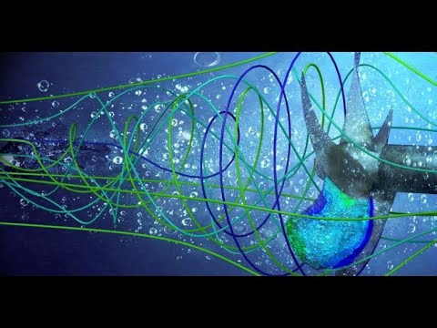 LIVE Session - Applied Computational Fluid Dynamics