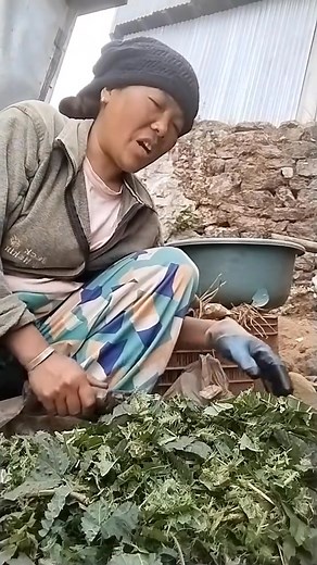 यि दिदी को कुरा कस्तो लाग्यो नि हजुर ? video.kewahang rai | Rabi Khadka