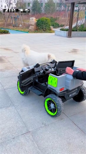 Remote Control RC New Brand Thar ROXX 4x4 Powerful Driving Testing 😡🤣#automobile #remotecontrol #big