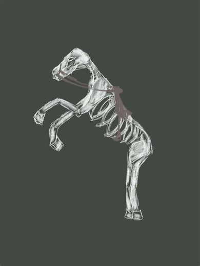 Drawing Minecraft Mobs - Skeleton Horse