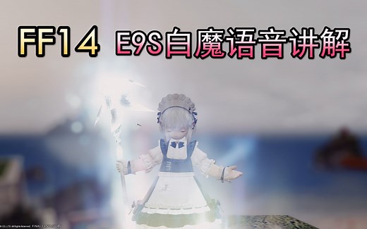 【FF14】E9S白魔法师视角 附语音讲解