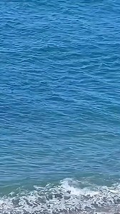 A killer whale hunting a seal on the beach, launching a brutal and relentless attack. 🦭🐋😱😱😱 . . #killerwhale #orca #orcawhale #seal #wildlife #NatureDocumentary #oceanlife #marinelife #FishLifeWorldTV | FishLife world TV