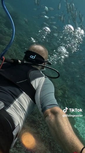 #airbuddy #divingeasier #hookahdiving #divelife #diving