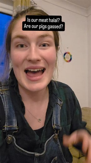 84K views · 9.7K reactions | Is our meat halal? What method of slaughter do we use? Are our pigs gassed? #lancashirelambboxes #farm #food #meat #halal #nothalal #nonhalal #notkosher #nonkosher #kosher #uk | Lancashire Lamb Boxes | Facebook