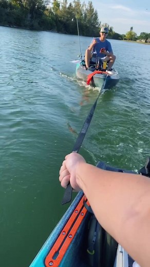 Top Kayak Picks for Adventurous Fishing Enthusiasts