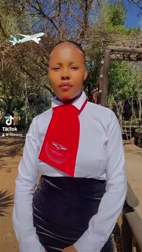 The Academy of Aviation your