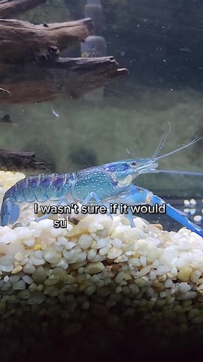 fishinwithtony on TikTok