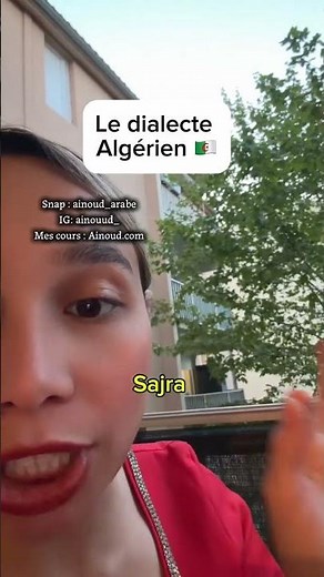 apprendre le dialecte algérien 🇩🇿