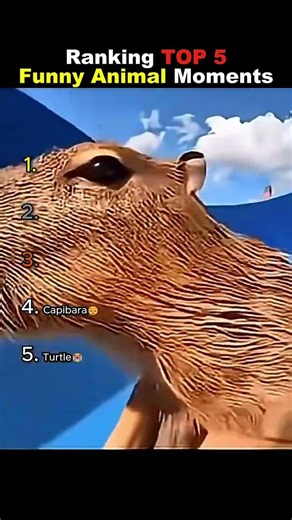 🐆💀RANKING FUNNY animals moments 🐶🦖