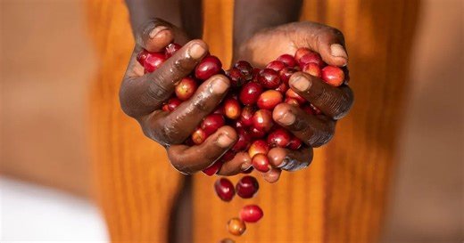 Starbucks Reaffirms Ethical Sourcing Commitment Amid Lawsuit