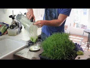 Top Wheat Grass Recipes