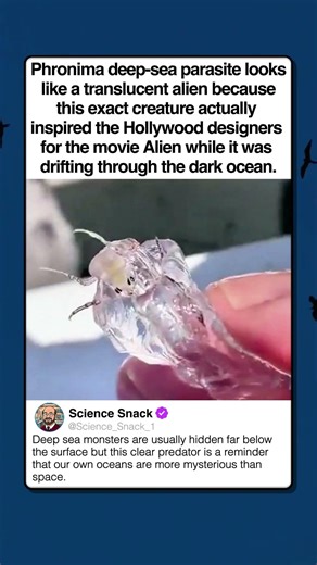 THE CREATURE THAT INSPIRED ALIEN