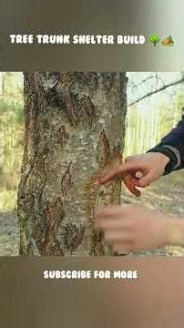 🌳 Tree Trunk Survival Shelter Build | Primitive Jungle House 🏕️ DIY