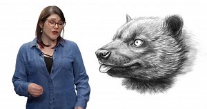 The ghostlike bush dog that reappeared when no one expected it