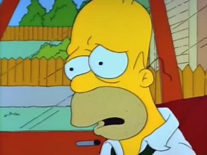 homer remembers the party | Simpsons Memes