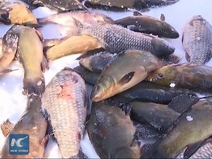 83K views · 693 shares | How to go fishing on a frozen lake? Follow the contestants of an ice fishing tournament in NE China to learn some tips. | China Xinhua News | Facebook