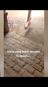 SERAM!! MASIH SORE KOK ADA HANTU #ghost #hantu #kuntilanak #pocong #genderuwo #tuyul #banaspati #kuyang #wewegombel #beguganjang #fyp #horor #misteri #penampakanhantu @sorotan | Miko