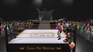 Wrestling with Ragdolls video