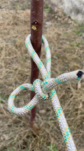 Rope Knot Skills #shorts #knot