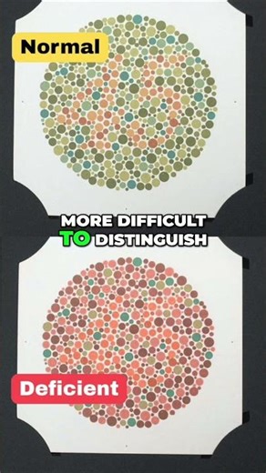 Colorblind Vision - See Numbers Differently!
