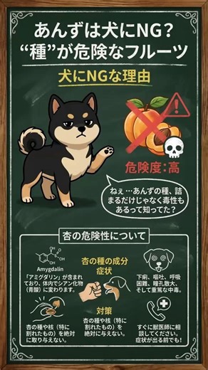 【NG食材】あんずは犬にNG？“種”が危険なフルーツ｜ペットフード販売士が教える