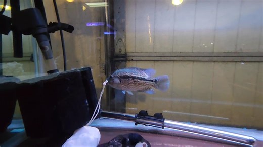 Tony Cota on Reels | Facebook