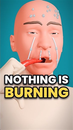 Why Spicy Food Makes Your Nose Run and Your Face Sweat