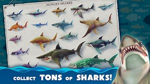 Hungry Shark World – Understanding Shark Sizes and How to Unlock Them | BlueStacks