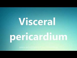 Visceral pericardium - Medical Meaning and Pronunciation