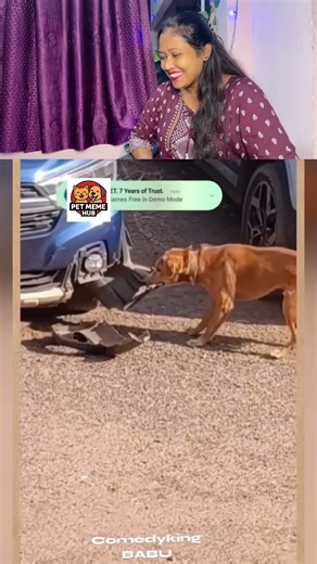 Ah gaya tar cutting device hat ma #DogShorts #FunnyDog #TalkingDog #Hindi #DogMemes #PetMemeHub